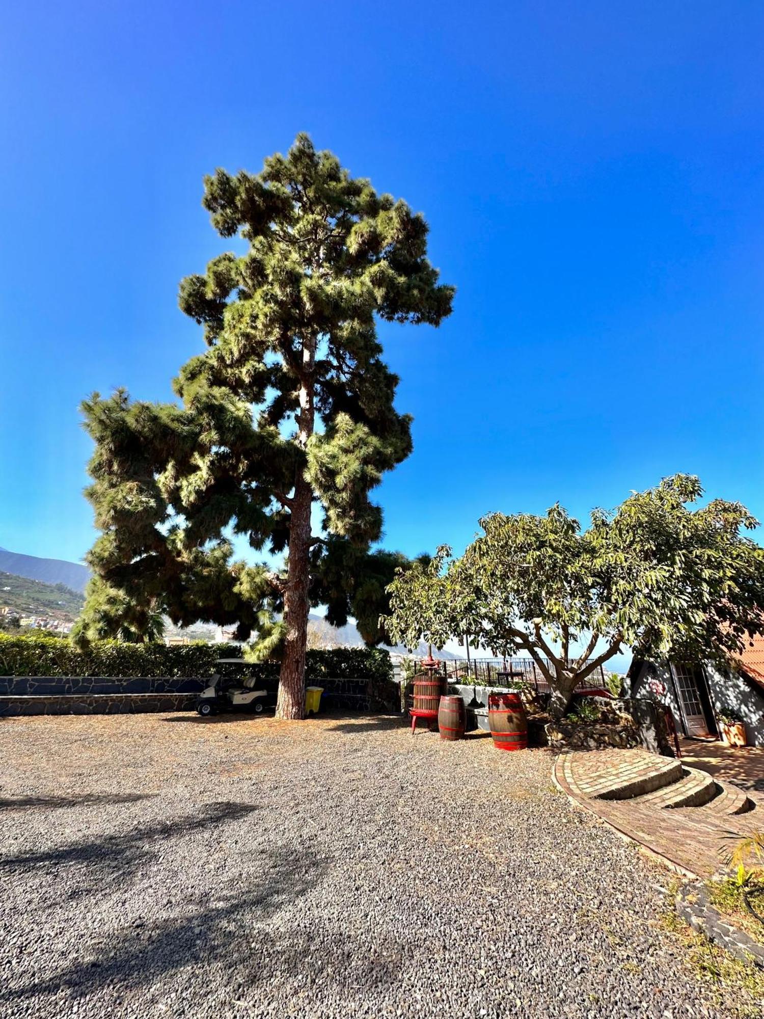 Oscar Burchard Holiday home La Orotava