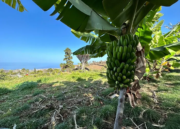 Finca Oscar Burchard