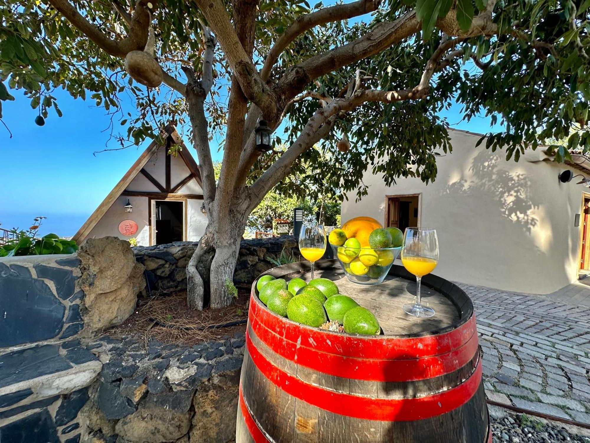 Casa vacanze Oscar Burchard *